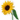 دخترانه,فانتزی,شکیک,آیکن,شکلک,صورتی,شاد,قشنگ,خشگل,زیبا,باحال,دخترونه,وبلاگ نویسی,کامنتگزاری,کوچک,سایز کوچیک,ریزه میزه,جذاب,یامزه