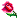 rose-yahoo-emoticon.gif